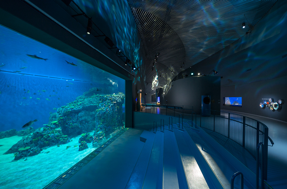 Bespoke Floor Provided for The Blue Planet | National Aquarium Denmark